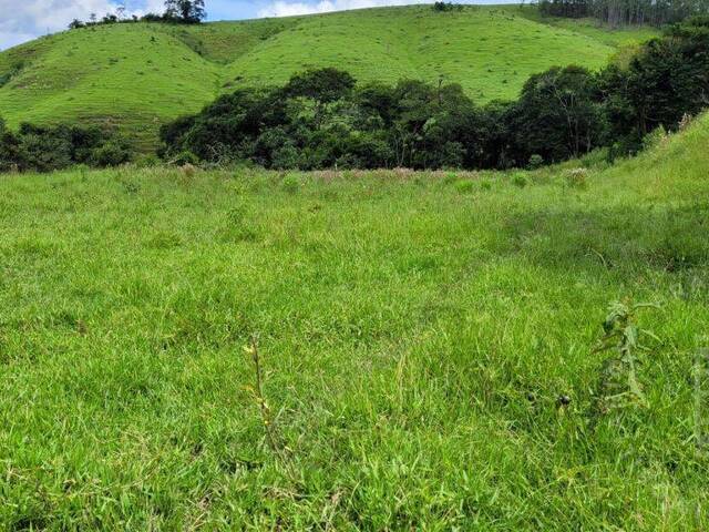 #333 - Sítio para Venda em São Luíz do Paraitinga - SP