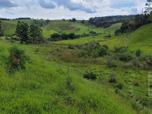 #333 - Sítio para Venda em São Luíz do Paraitinga - SP - 3