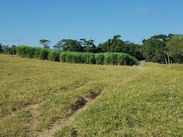 #336 - Sítio para Venda em Caçapava - SP - 1