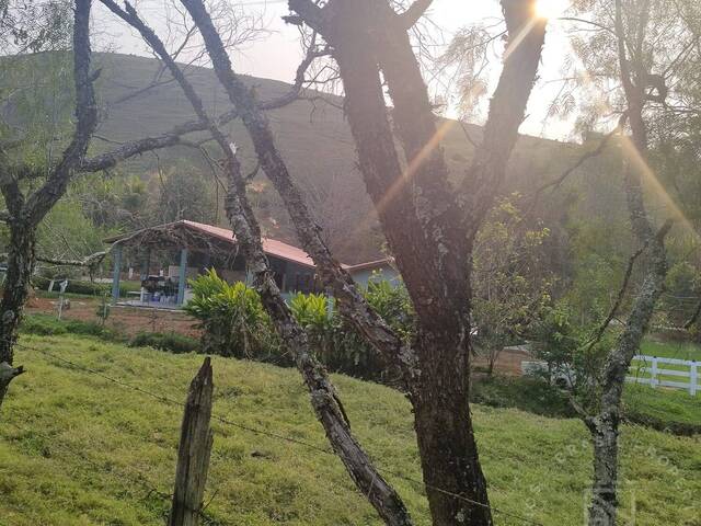 # - Fazenda para Venda em Taubaté - SP - 1