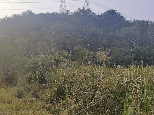 # - Fazenda para Venda em Taubaté - SP - 2